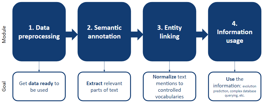 Figure 4: Summary of the NLP process