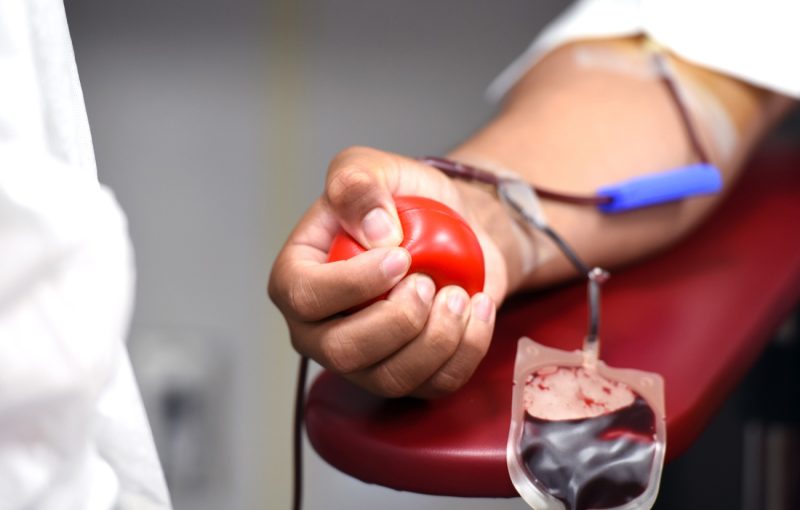 BIOMATDB PWS Artificial blood or the opportunities of regenerative medicine Image 01